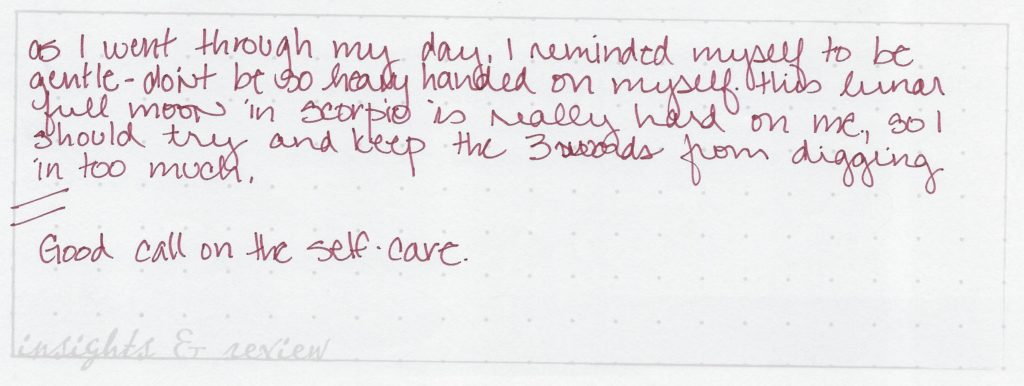 Example of a completed insights and review area Daily Draw sheet.